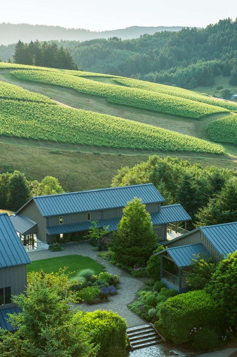 WillaKenzie Estate, Yamhill, Oregon