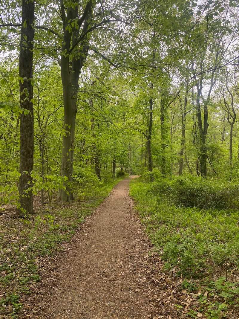 Winding Trails That Feel Like Hidden Passageways Winding Trails That Feel Like Hidden Passageways