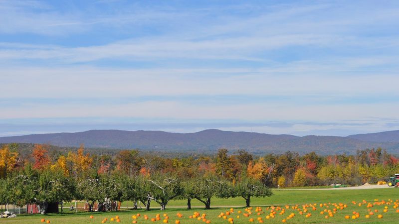 Windy Hill Orchard adjacent cideries and Sky Top area, Flat Rock Windy Hill Orchard adjacent cideries and Sky Top area, Flat Rock