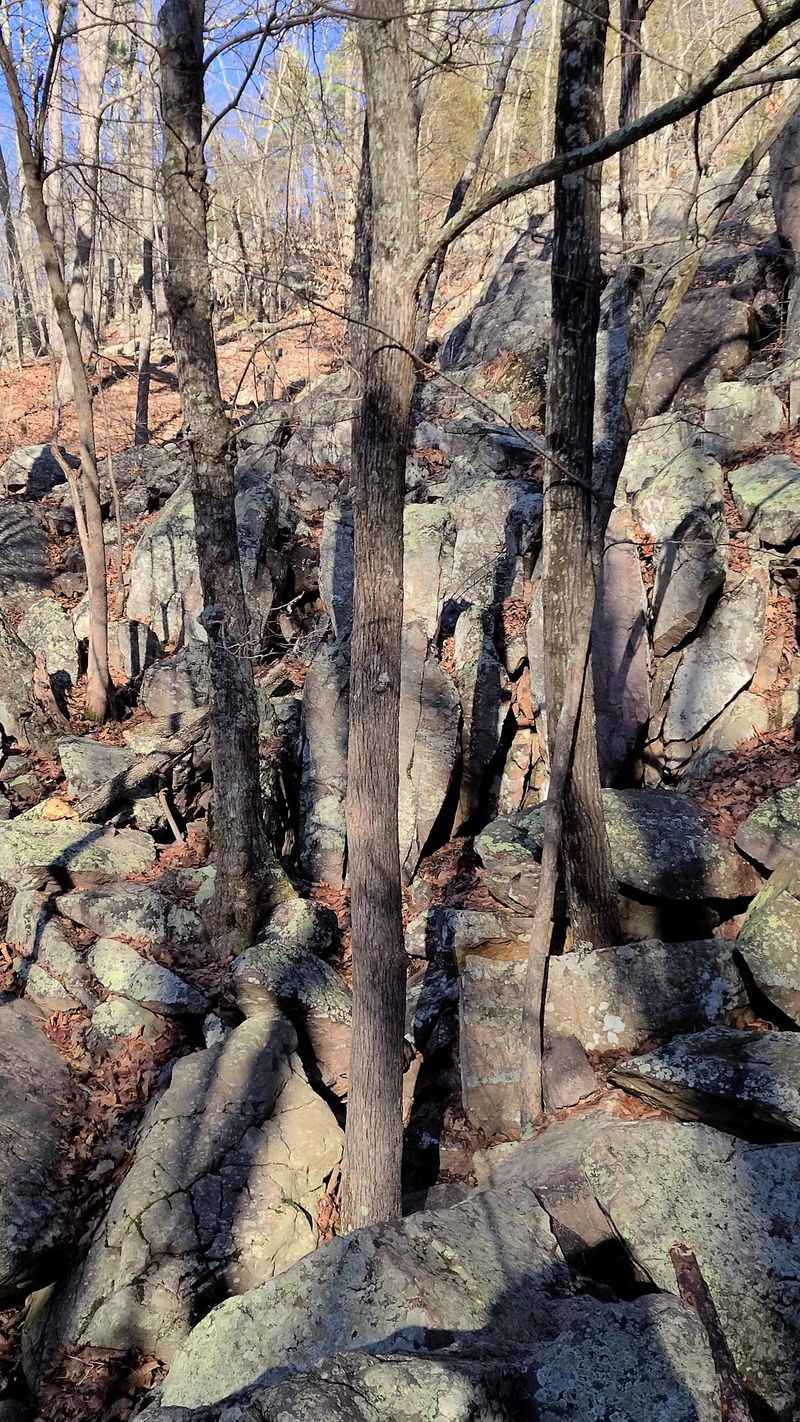 Winter Hiking and Off-Season Adventure Winter Hiking and Off-Season Adventure