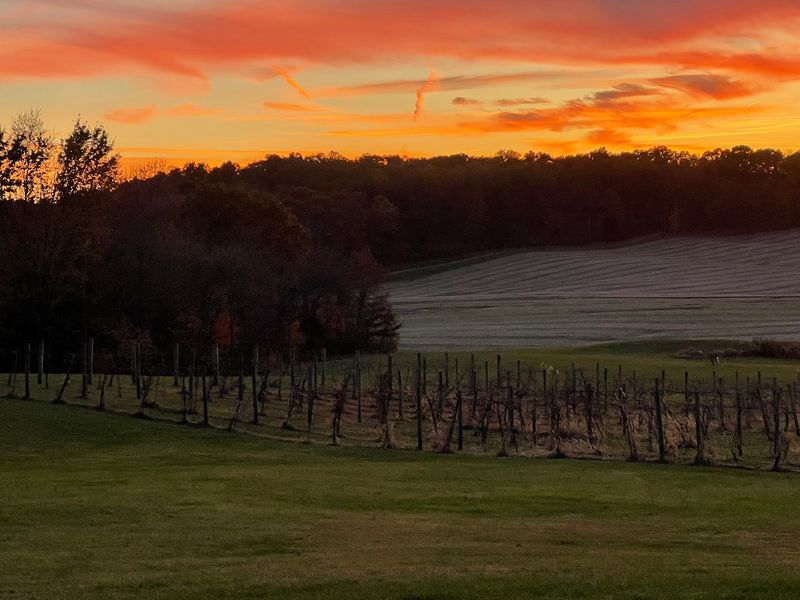 Winzerwald Winery, Bristow, Indiana Winzerwald Winery, Bristow, Indiana