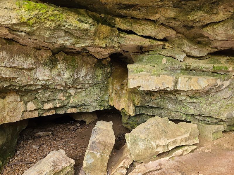 Wolf Cave and the Flashlight Adventure