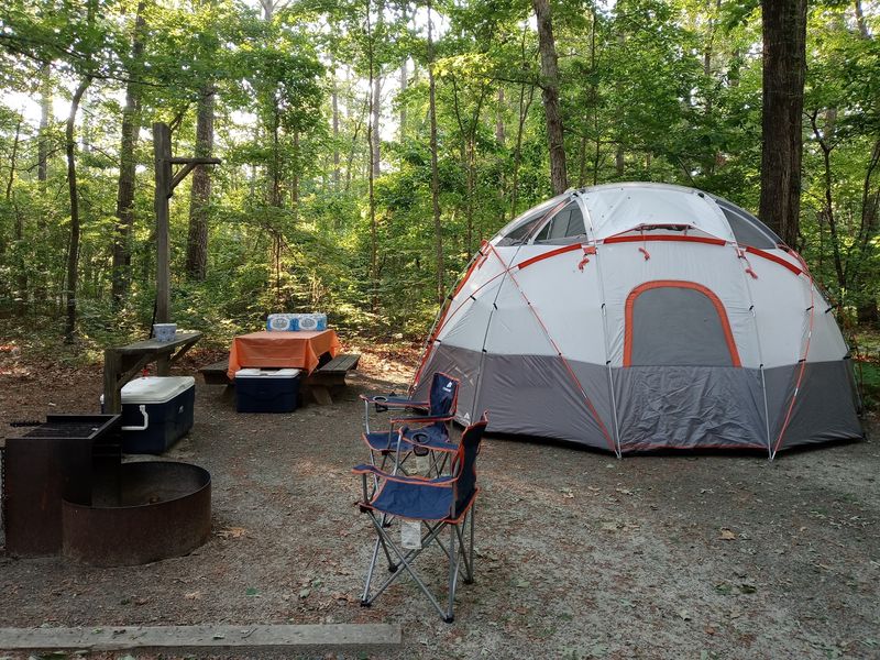 Wooded Campsites Built For Space And Shade