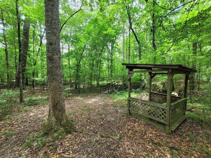 Wooded Trails Perfect for a Spooky Stroll