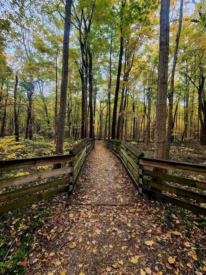Wooden Bridges Over Cheney Creek