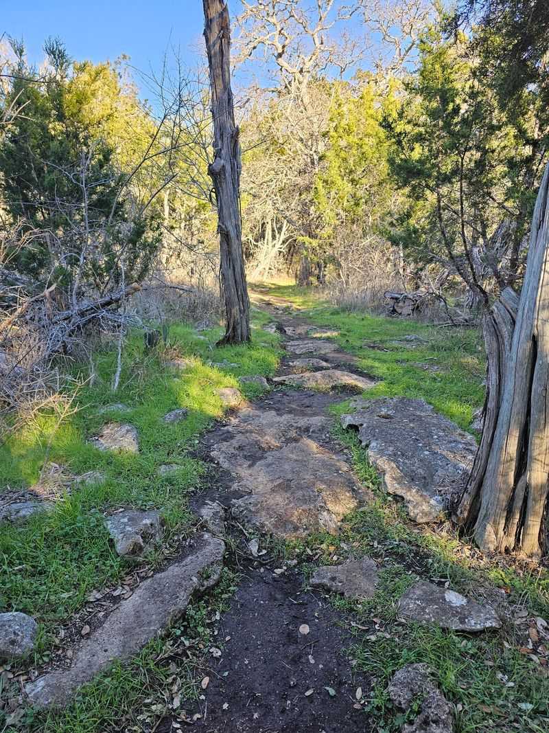 Woodland Trails Through Limestone Terrain