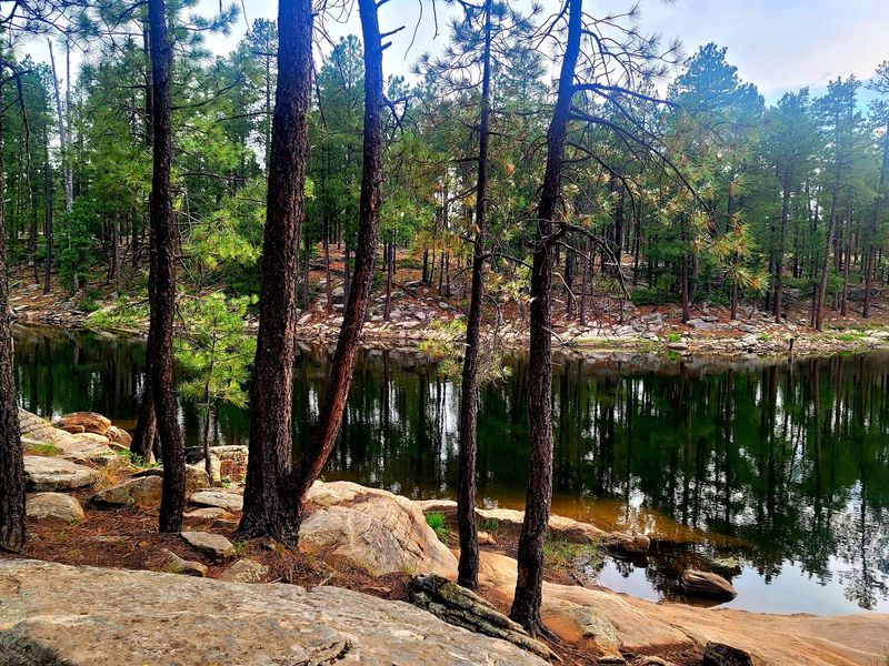 Woods Canyon Lake, Mogollon Rim