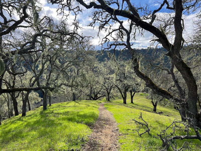 Worth Every Mile Of That Drive