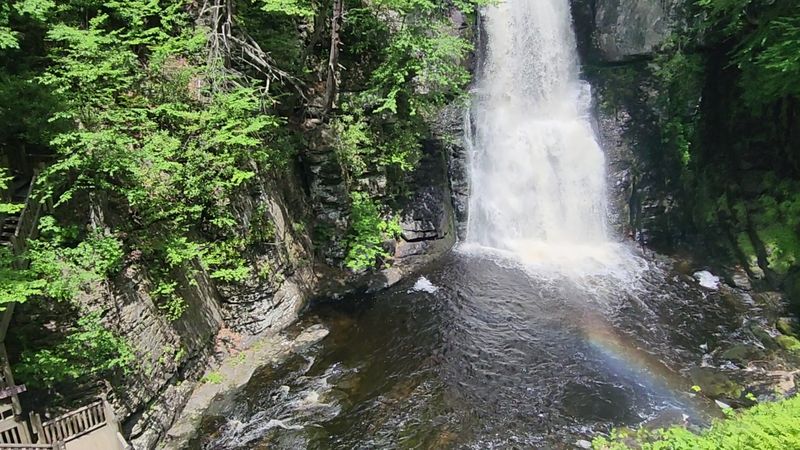 Worth the Climb and the Price of Admission