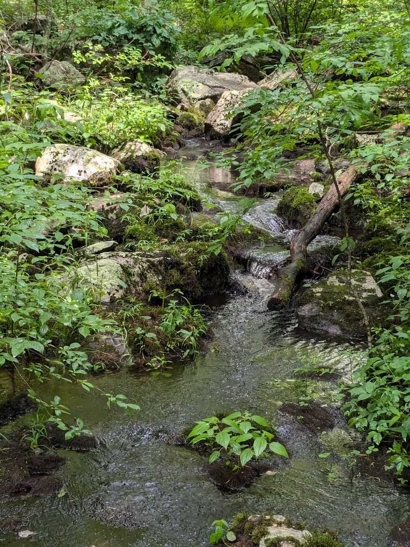 Year-Round Adventures That Change With Every Season