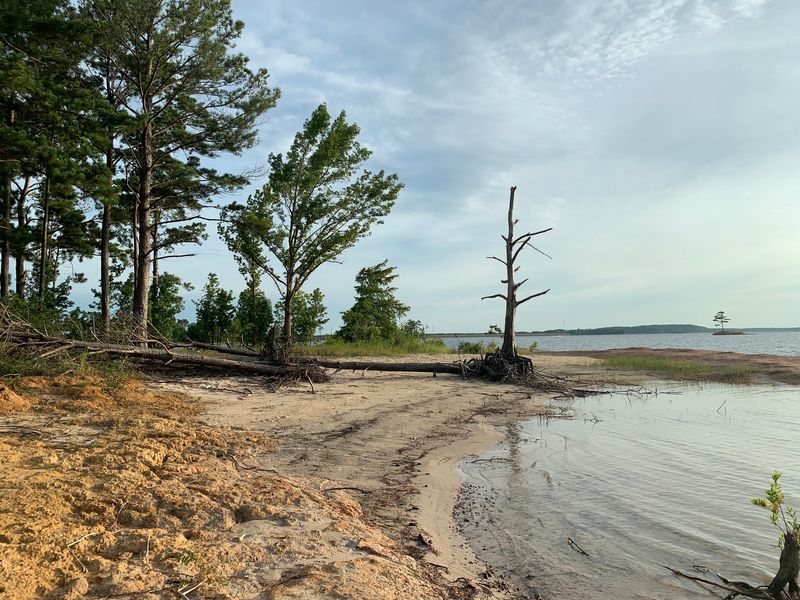Zavalla, Lake Sam Rayburn Zavalla, Lake Sam Rayburn