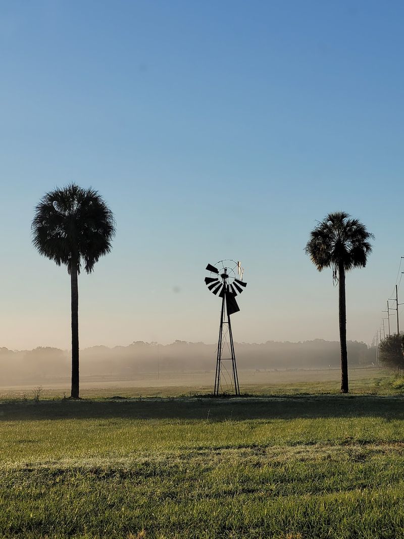 Zephyrhills Water: A Fun Local Pride Point