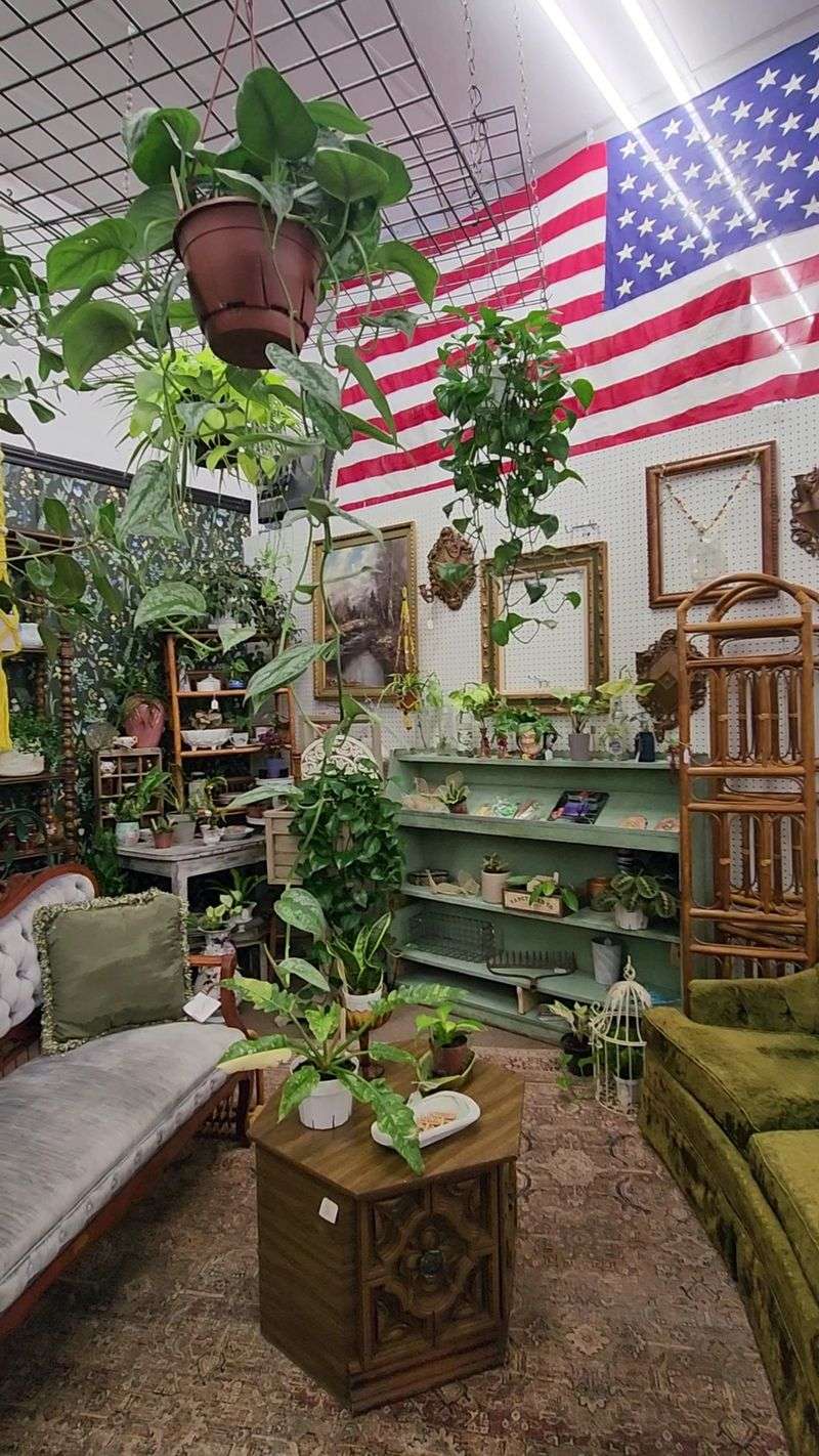 Zinnia's Antique Mall, Mesa Zinnia's Antique Mall, Mesa