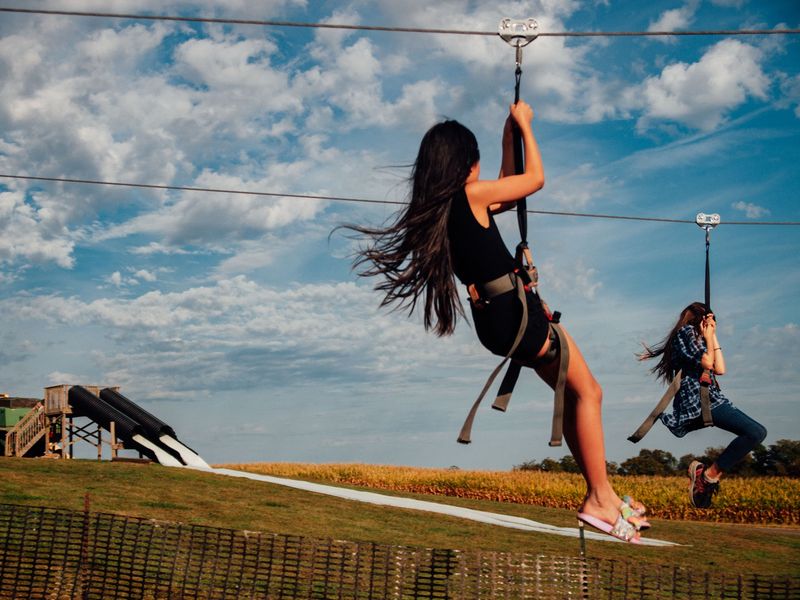 Zip Lines Down the Hillside