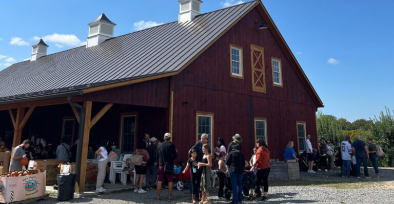 This Quaint Minnesota Farm Market Is Worth Driving Hours To Visit