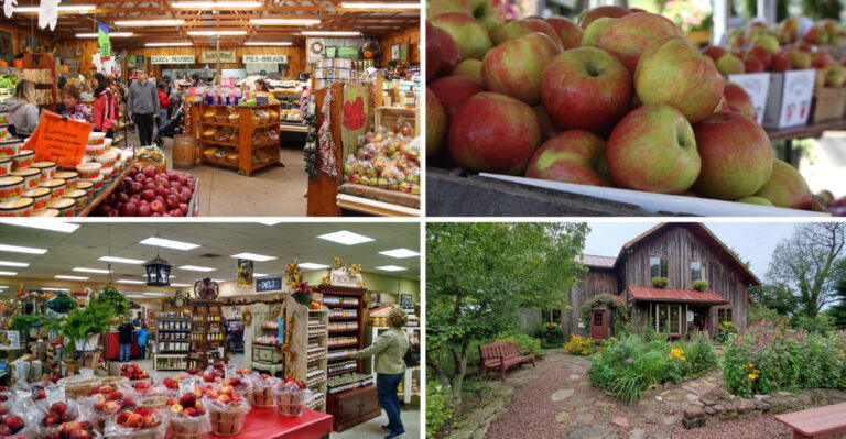 When Apple Season Hits, These 8 Pennsylvania Orchards Press Cider Right On The Farm