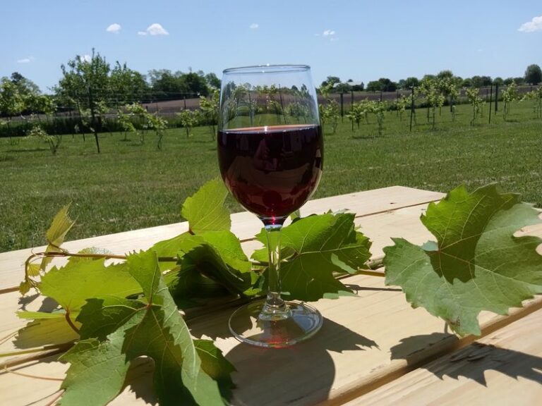 These 7 Indiana Wineries Sit On Rolling Hills Worth The Drive For A Lazy Afternoon