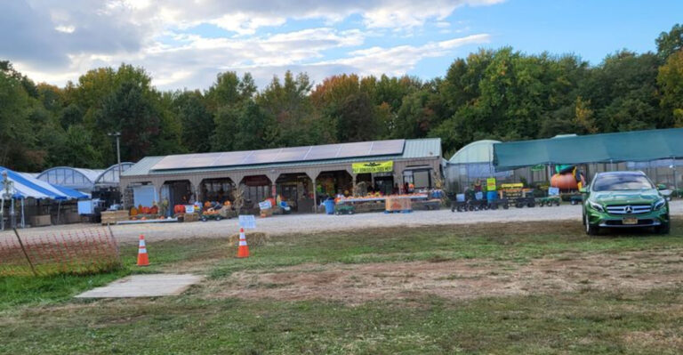 These 6 New Jersey Farm Stands Sell Jersey Tomatoes So Good You’ll Never Buy Grocery Store Again