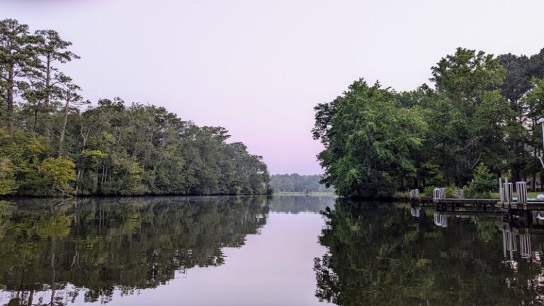 Paddle The Cypress Swamps Of Pocomoke River State Park’s Shad Landing In Snow Hill, Maryland