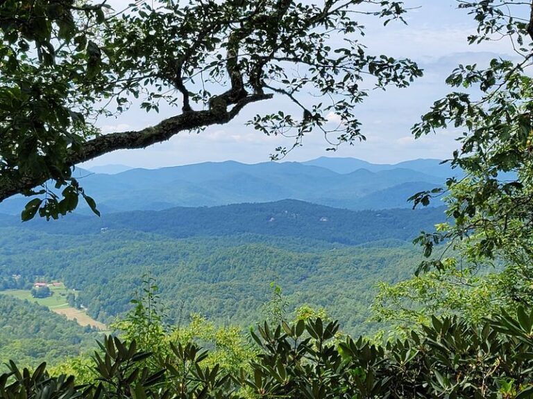 These 8 Georgia State Parks Have Cabins Where You Can Wake Up To Mountain Views