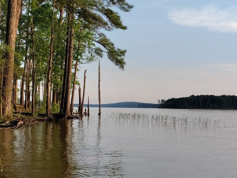 Few North Carolina Parks Match The Beauty Of This Peaceful Lakeside Escape