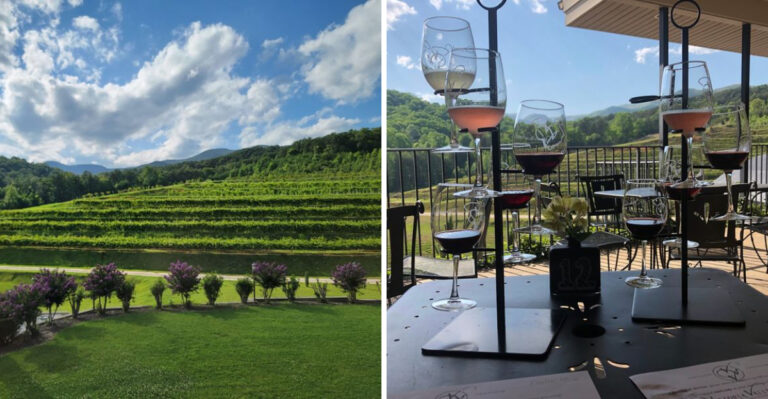 This Secluded South Carolina Winery Is The Dreamy Day Trip You’ve Been Looking For