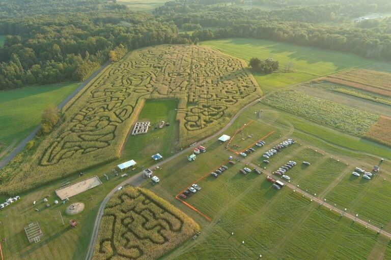 This Sprawling Ohio Corn Maze Turns Fall Weekends Into An All-Day Adventure For The Whole Family