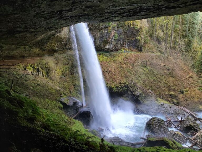 This Oregon State Park Lets You Walk Behind Waterfalls on One Manageable Loop Past Ten Falls