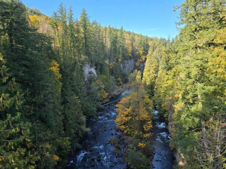 This Small Washington State Park Hides a River Gorge and Short Trails Right Down to the Water
