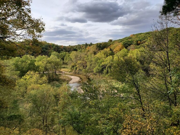 This Serene Northeast Iowa State Park Stays Uncrowded, With Trout Streams Winding Below Limestone Cliffs