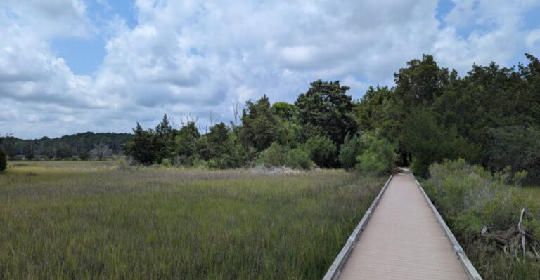 This South Carolina Park Is Home To A Secret Walkable Island Few Locals Know About