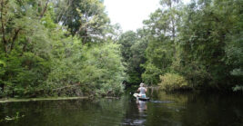 Climb Aboard This Pirate Adventure In Florida For A Family Experience You’ll Be Talking About Long After It Ends