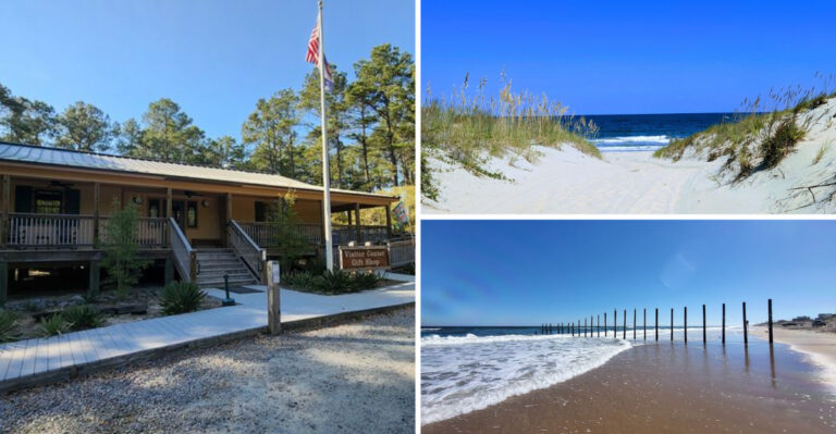 Virginia Has A Hidden Island State Park With Miles Of Beautiful, Uncrowded Shoreline