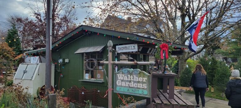 Grab A Chocolate Top And A Coke At This Longtime Baltimore Snowball Stand