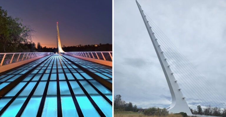 This 710-Foot Bridge In California Will Make You Feel Like You’ve Entered A Star Wars Universe