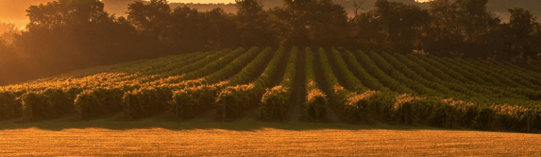 These 9 Missouri Wineries Serve Award-Winning Wine With Views You’ll Want To Linger Over