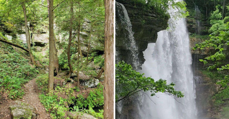 This Tennessee Trail Feels Like Walking Straight Through The Pages Of A Storybook