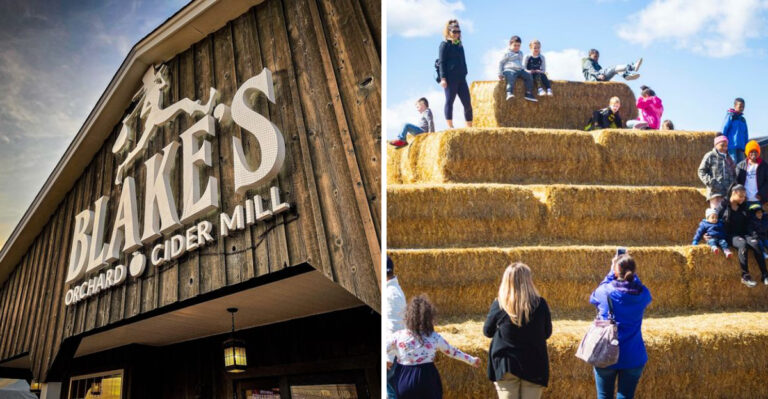 This Quaint Michigan Farm Market Is Worth Driving Hours To Visit