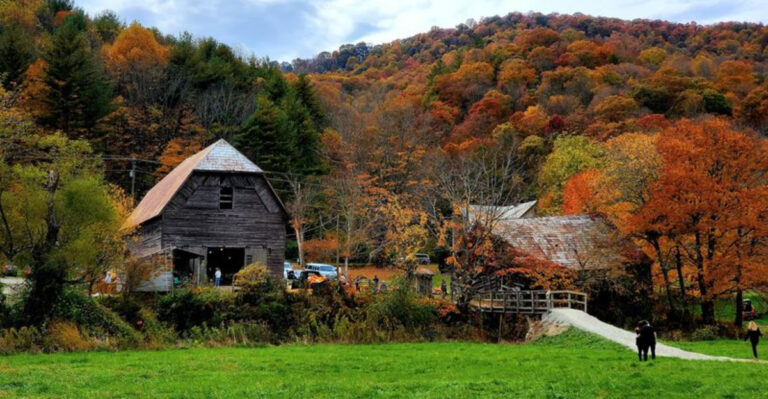 This Fairy-Tale-Like North Carolina Village Feels Perfect For An Unforgettable Day Trip