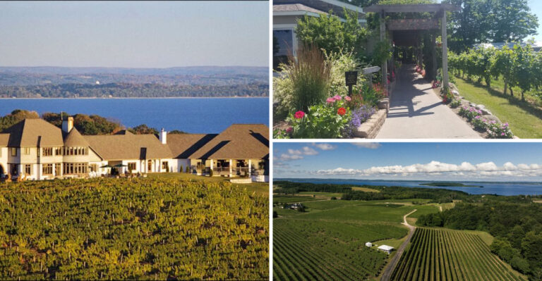 These 7 Michigan Wineries Along Old Mission Peninsula Pour Views As Good As The Wine