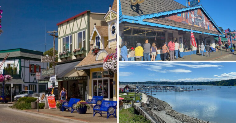 You’ll Feel Like You’ve Landed In Norway When You Visit This Charming Washington Town