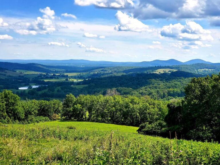 This Hidden Virginia State Park Is Where Peace And Scenic Beauty Come Together
