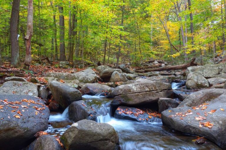 This Under-the-Radar New Jersey State Park Hides Rocky Riverside Trails That Lead to Waterfalls Along the Black River
