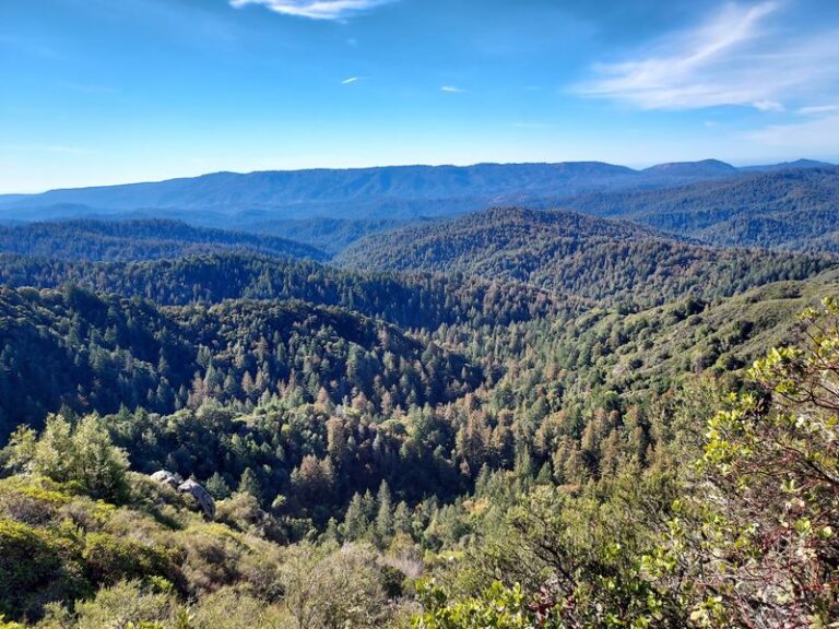 This California State Park Hides a Waterfall a Short, Easy Walk From the Trailhead