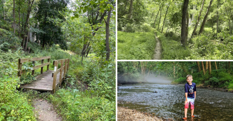 This Maryland State Park Runs Riverside Trails Past Rock Outcrops and a Waterfall Along a Trout Stream