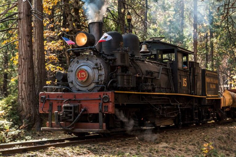 This Steam Train Ride Through California’s Sierra Forest Is Pure Magic From Start to Finish