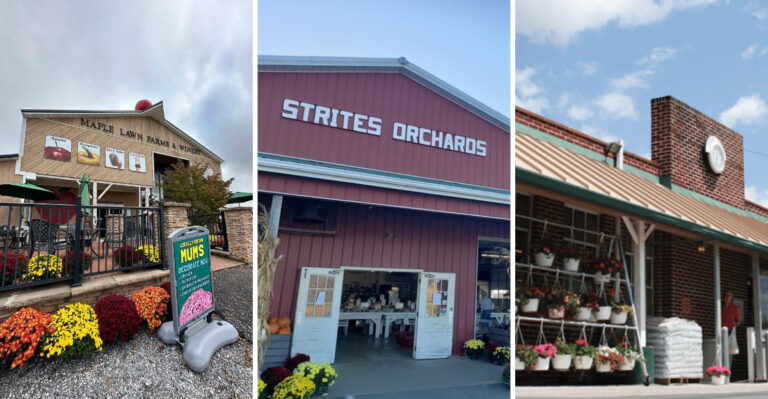 These 9 Pennsylvania Roadside Farm Stands Sell Sweet Corn And Tomatoes Locals Plan Drives Around