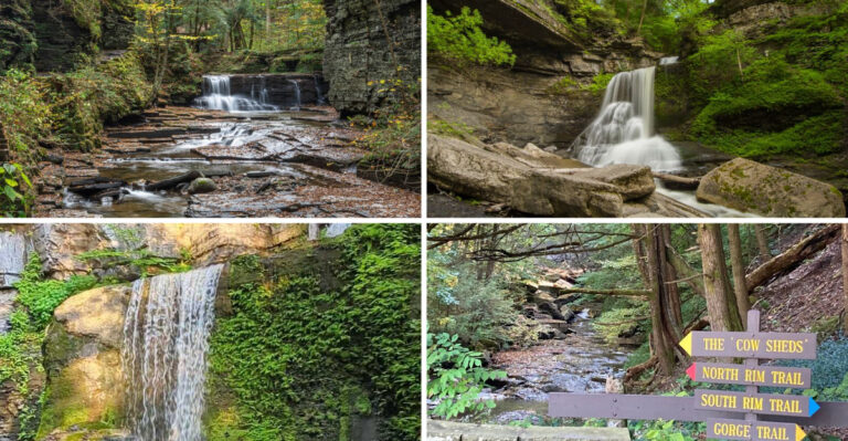 This Underrated New York State Park Wraps A Spring-Fed Gorge In Quiet Old-Growth Forest Trails