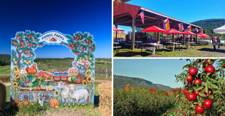 These 10 New York Apple Orchards Are Worth The Drive For Fresh-Picked Fruit And Homemade Cider Donuts