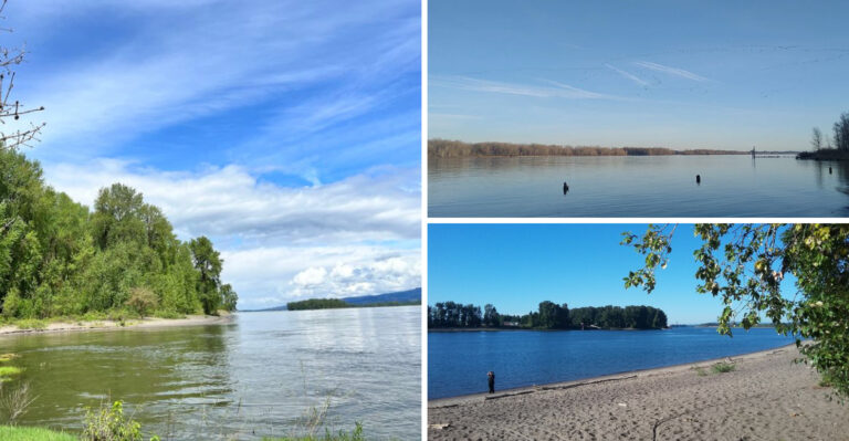 This Dreamy Island In Oregon Is The Peaceful Escape You Didn’t Know You Were Missing